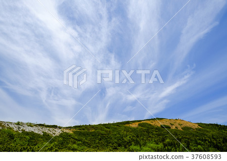 Honkonishi Ridgeline山 37608593