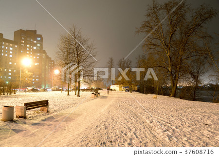 Park at winter night. 37608716