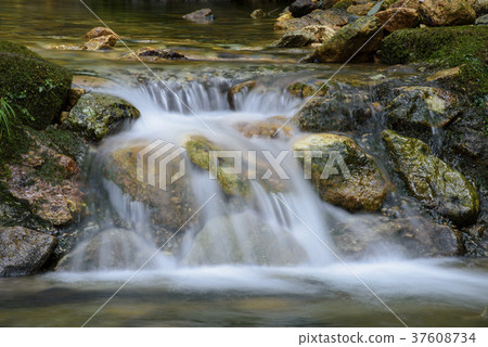State of Kagayanagi mountain stream (Hyoto Himeji City Antomi-cho) 37608734