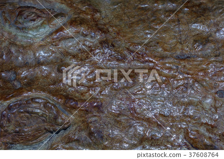 Crocodile leather 37608764