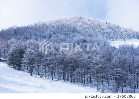 早上冰 早上冰 37608868