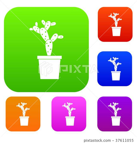 Opuntia set color collection Opuntia set color collection 37611055