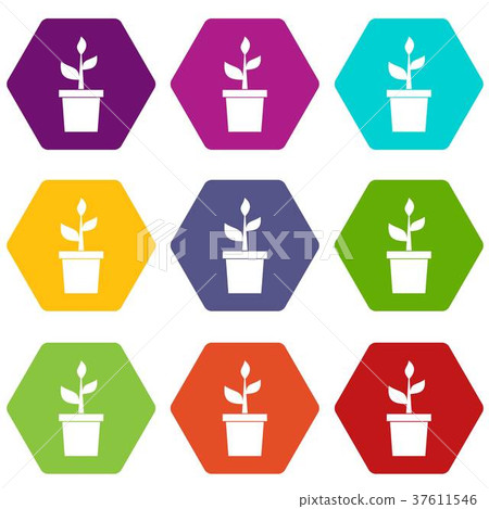 Plant in clay pot icon set color hexahedron 37611546
