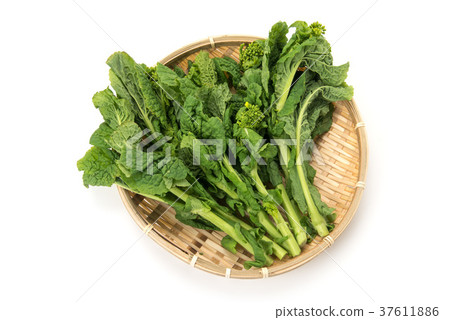強姦開花 強姦開花 37611886
