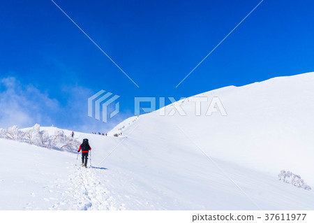 攀登一座多雪的山的登山人 攀登一座多雪的山的登山人 37611977