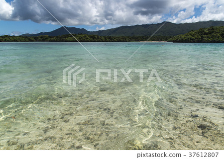 Kawahira Bay（沖繩縣石垣島） 37612807