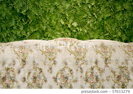 classic sofa with green fern background classic sofa with green fern background 37613279