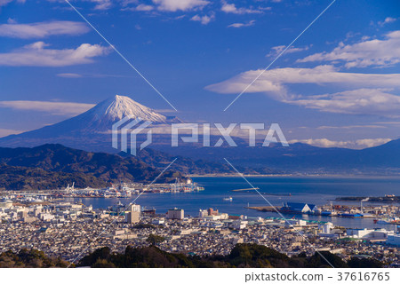 [靜岡縣]清水港和富士山在清晨 37616765