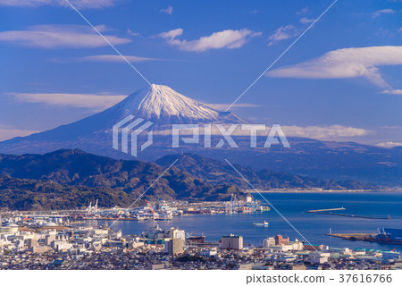 [靜岡縣]清水港和富士山在清晨 37616766