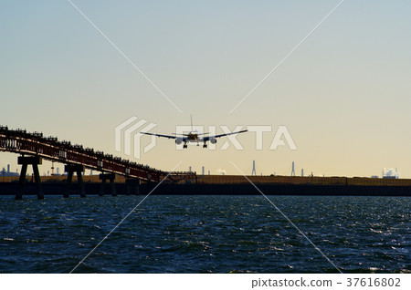海上的飛行員和著陸飛機在西方發光.C-2沒有小翼。 37616802
