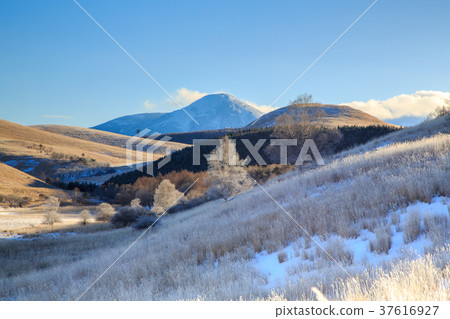Kirigamine plateau fog ice 37616927