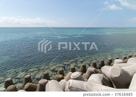 Sea (Ishigakijima) seen from Hamacho green space park of the south Sea (Ishigakijima) seen from Hamacho green space park of the south 37616985