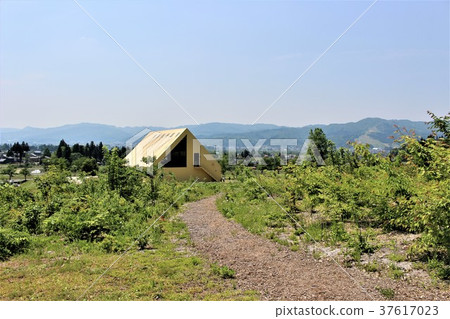 春天的Hakkai山腳（白雪皚皚的國家的春天形象） 37617023