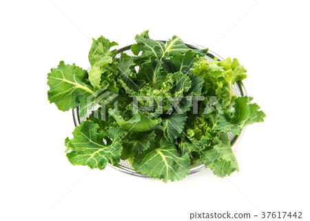 Petit veil Petit veil 37617442