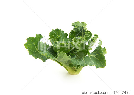 Petit veil Petit veil 37617453