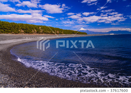 (Shizuoka Prefecture) Miho's Matsubara and Mt. Fuji 37617600