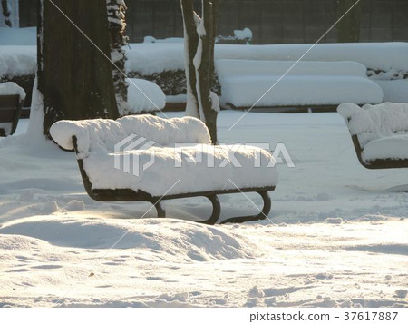 Snow on a park bench Snow on a park bench 37617887
