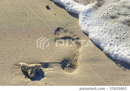 trace from a bare foot in the sand trace from a bare foot in the sand 37620865