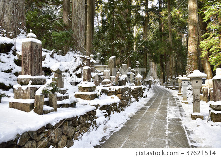 Konosan Okunoinin方法(和歌山伊藤郡高野町) Konosan Okunoinin方法(和歌山伊藤郡高野町) 37621514
