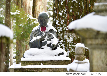 Koyasan Okunoinin石佛(和歌山伊藤郡高野町) Koyasan Okunoinin石佛(和歌山伊藤郡高野町) 37621516