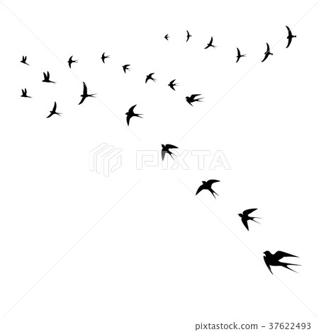 birds icons, a set of flying swallows - Stock Illustration [37622493