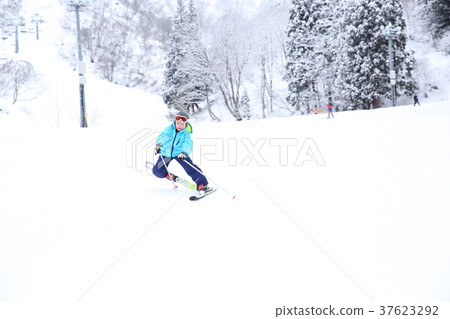 孩子們喜歡滑雪 37623292