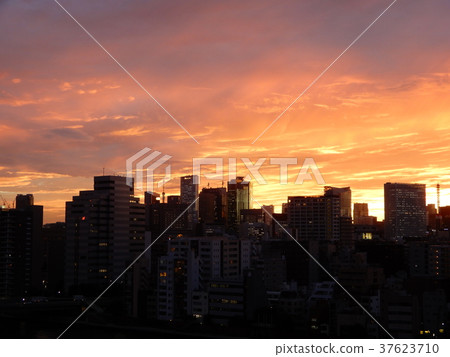 汐留的晚上風景 汐留的晚上風景 37623710