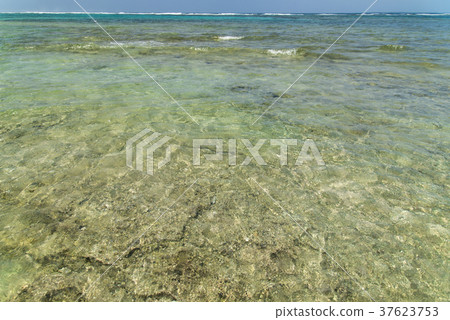 Coastal scenery of Kuroshima (Okinawa prefecture) Coastal scenery of Kuroshima (Okinawa prefecture) 37623753