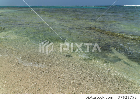 Coastal scenery of Kuroshima (Okinawa prefecture) Coastal scenery of Kuroshima (Okinawa prefecture) 37623755