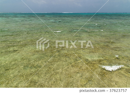 Coastal scenery of Kuroshima (Okinawa prefecture) Coastal scenery of Kuroshima (Okinawa prefecture) 37623757