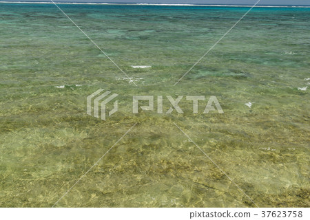 Coastal scenery of Kuroshima (Okinawa prefecture) Coastal scenery of Kuroshima (Okinawa prefecture) 37623758