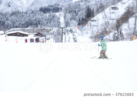 孩子們喜歡滑雪 孩子們喜歡滑雪 37623883