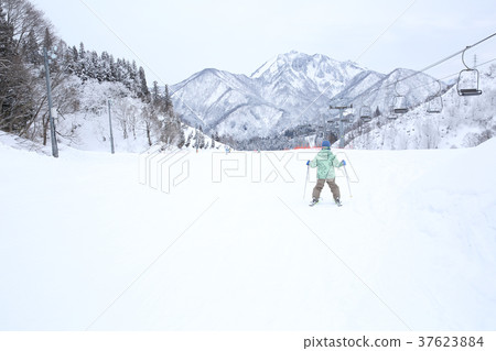 孩子們喜歡滑雪 孩子們喜歡滑雪 37623884