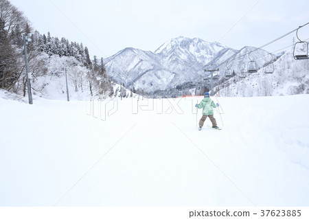 孩子們喜歡滑雪 孩子們喜歡滑雪 37623885