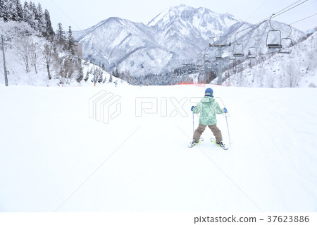 孩子們喜歡滑雪 37623886