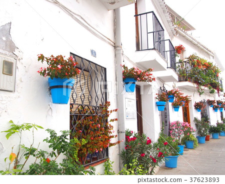 White village Mijas White village Mijas 37623893