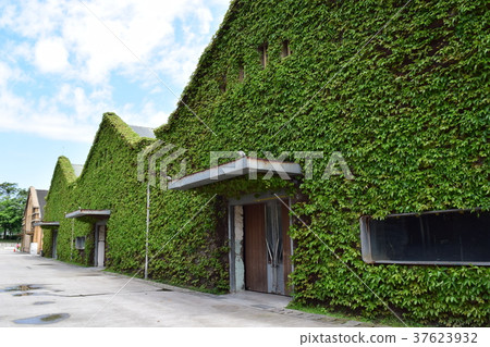 山的風景 山的風景 37623932