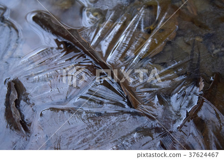 冰凍的水坑 冰凍的水坑 37624467