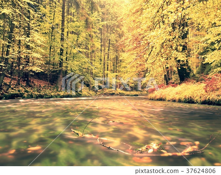 Beautiful landscape with wild river in forest Beautiful landscape with wild river in forest 37624806