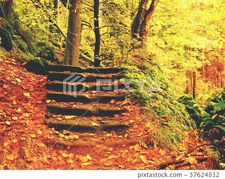 Stony step.Beautiful wild river in autumnal forest Stony step.Beautiful wild river in autumnal forest 37624812