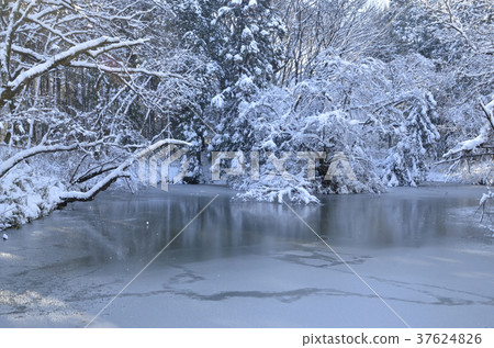 冬天的景色 37624826
