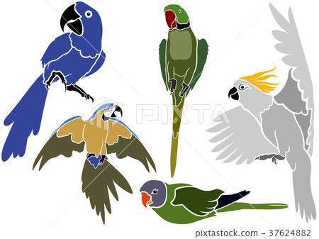 Set of Parrot Icons 37624882