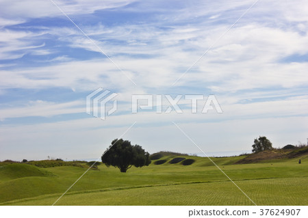 Golf course in Belek. Green grass on the field. Golf course in Belek. Green grass on the field. 37624907