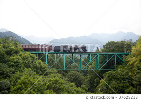 steam locomotive  37625218