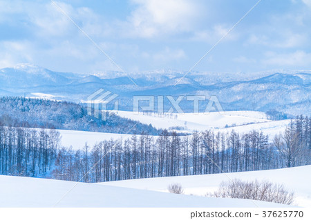 "Hokkaido" The ground of the hills and snowfields of Biei "Hokkaido" The ground of the hills and snowfields of Biei 37625770