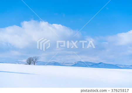 "Hokkaido" The ground of the hills and snowfields of Biei "Hokkaido" The ground of the hills and snowfields of Biei 37625817