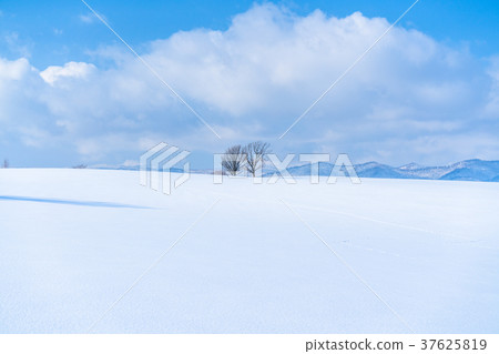 “北海道”美瑛的丘陵和雪原的地面 “北海道”美瑛的丘陵和雪原的地面 37625819