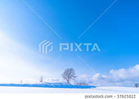 “北海道”美瑛的丘陵和雪原的地面 37625822
