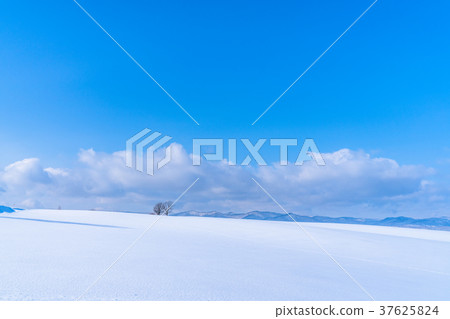 “北海道”美瑛的丘陵和雪原的地面 “北海道”美瑛的丘陵和雪原的地面 37625824