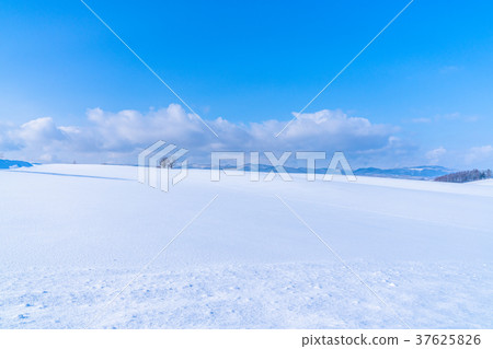 "Hokkaido" The ground of the hills and snowfields of Biei 37625826